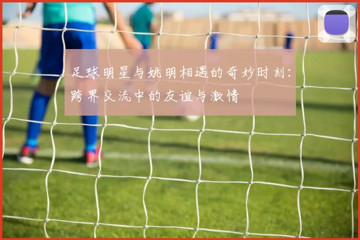 足球明星与姚明相遇的奇妙时刻：跨界交流中的友谊与激情
